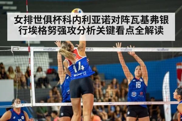 女排世俱杯科内利亚诺对阵瓦基弗银行埃格努强攻分析关键看点全解读