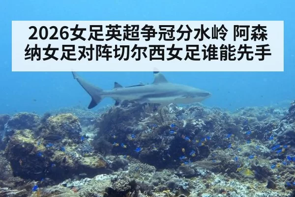 2026女足英超争冠分水岭 阿森纳女足对阵切尔西女足谁能先手